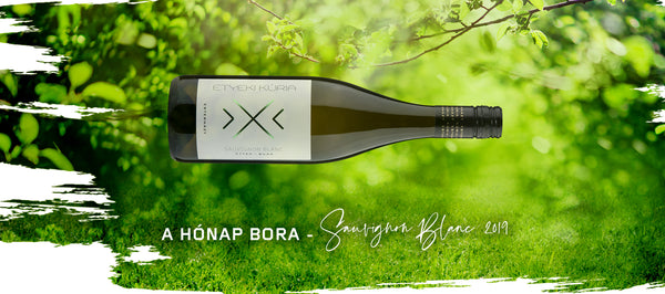 A Hónap Bora májusban: Sauvignon Blanc 2019
