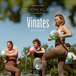 VINATES - EGYSZEMÉLYES JEGY