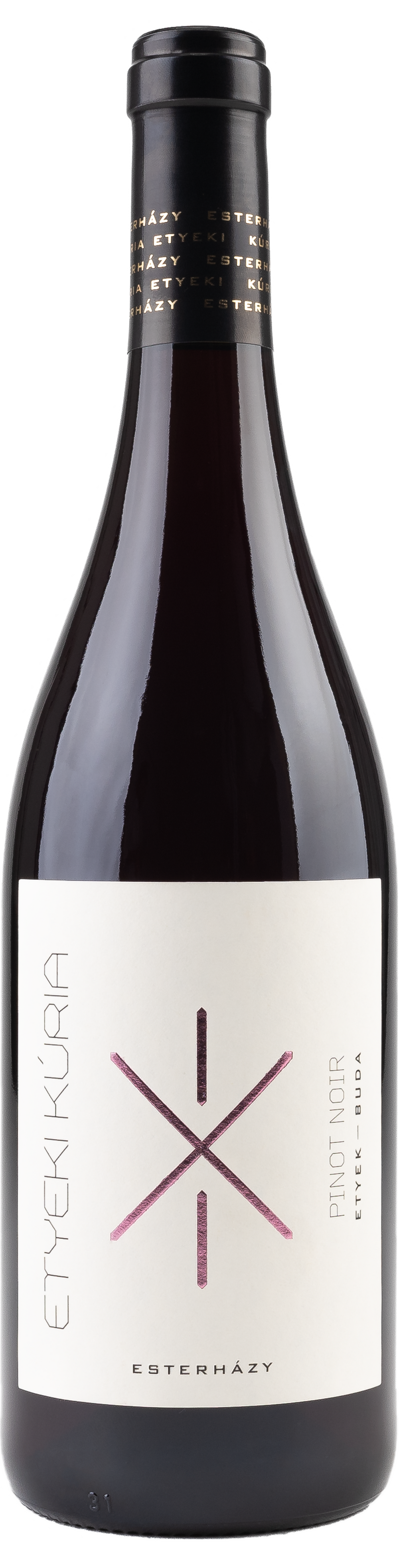 Sayyoh yovvoyi qabila bilan jinsiy aloqada boladi. Qanchalik keksa ayollar eshakda qora erkaklarni sikishadi