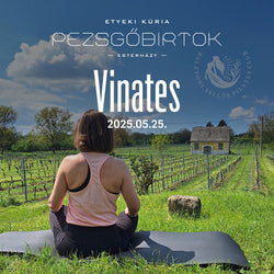 VINATES - EGYSZEMÉLYES JEGY