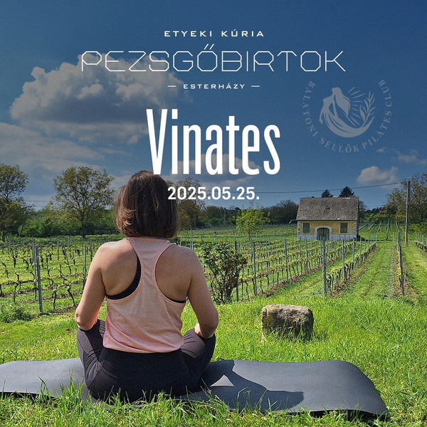 VINATES - EGYSZEMÉLYES JEGY